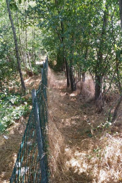 Img 20191217 Wa0036 Copia